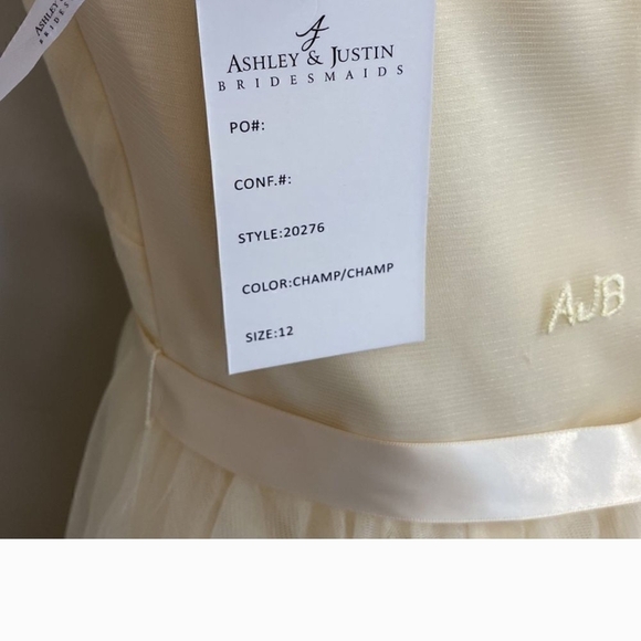 Elegant Cream Evening Gown - Picture 6 of 6